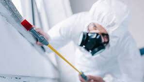 Best Pest Prevention Services  in Ravenna, OH